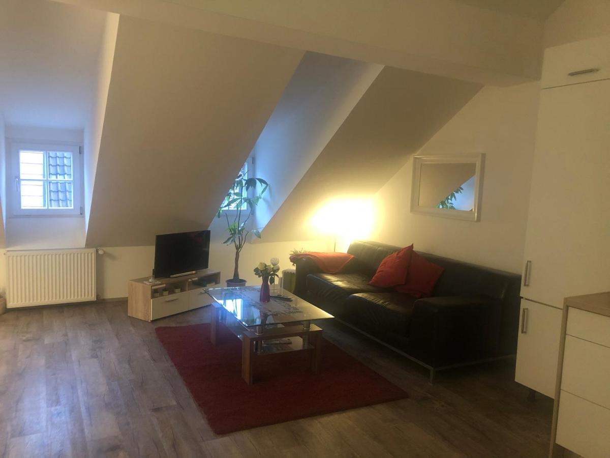 Old Bridge View Apartment Heidelberg Buitenkant foto